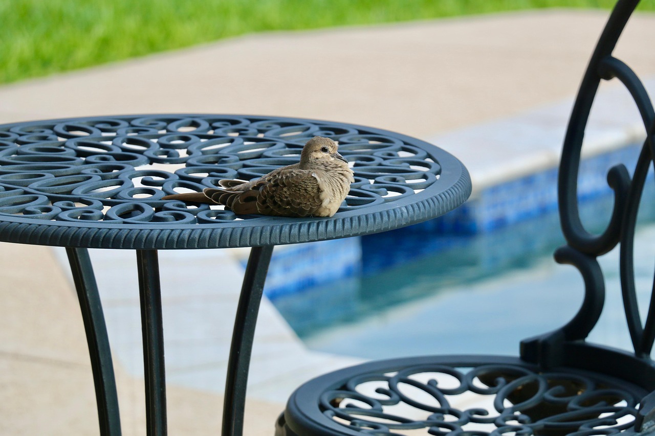 Patio table and chair beside a pool deck