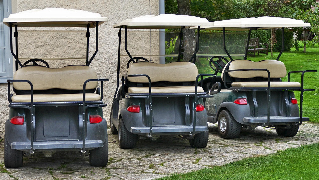 Row of parked golf carts